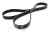 ASHIKA 112-6PK1820 V-Ribbed Belts